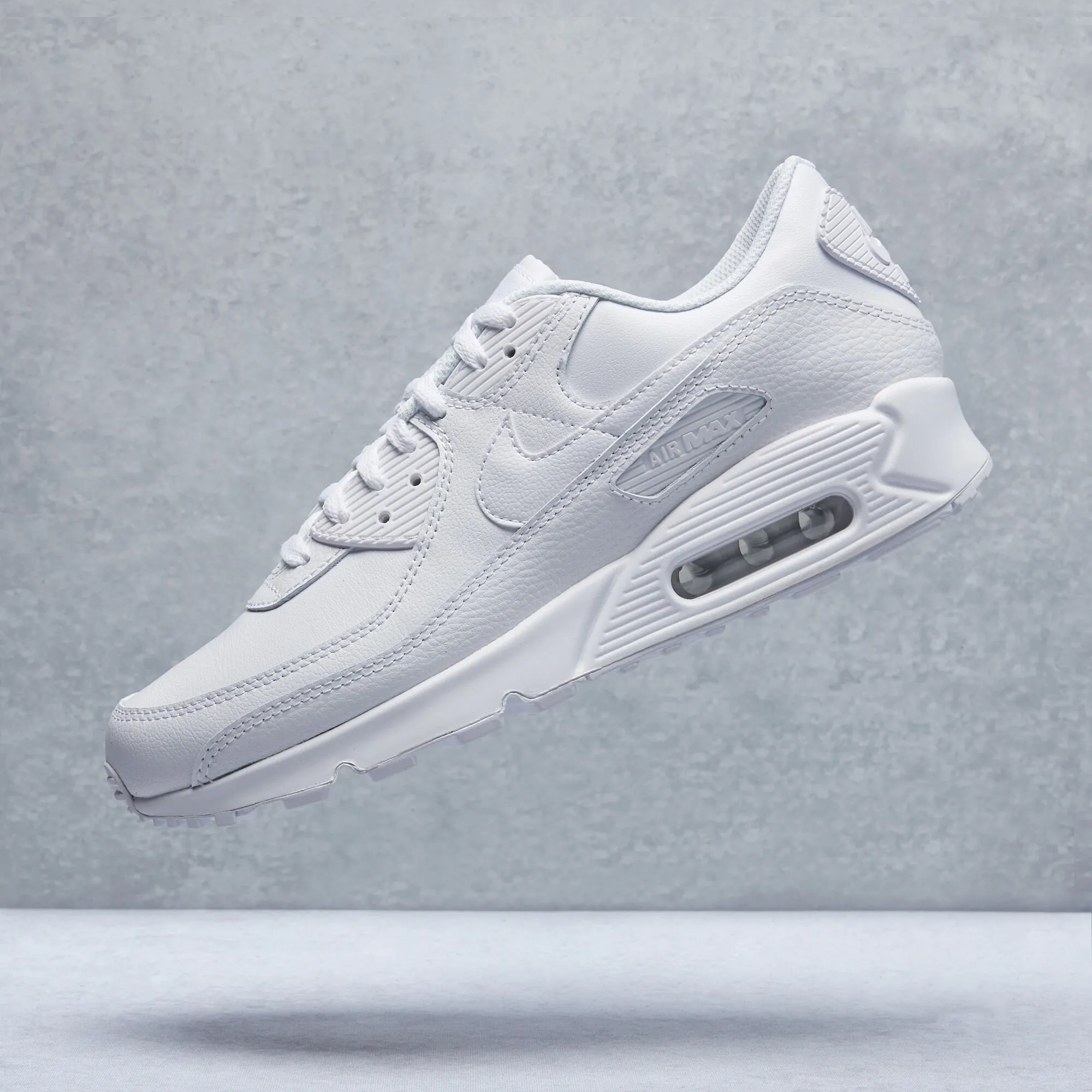 Nike Air Max 90 LTR Shoes