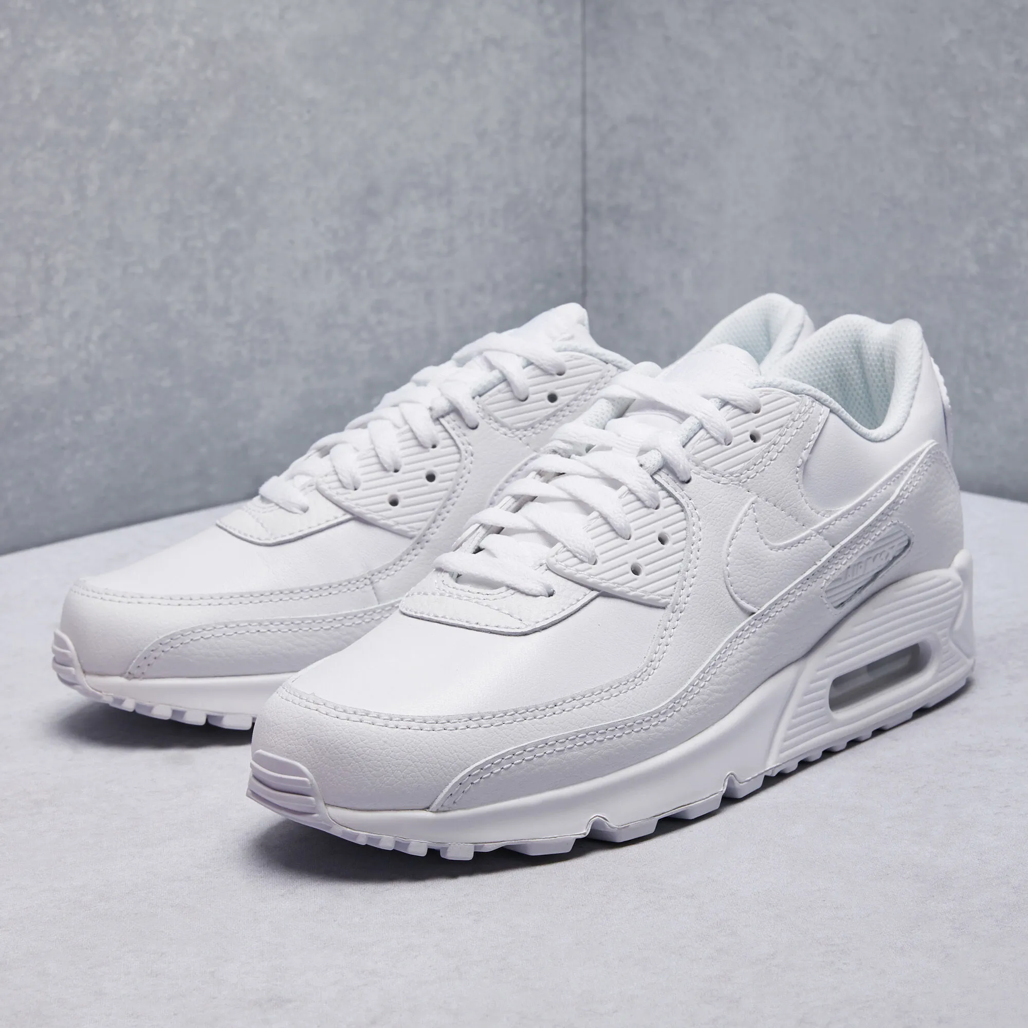 Nike Air Max 90 LTR Shoes