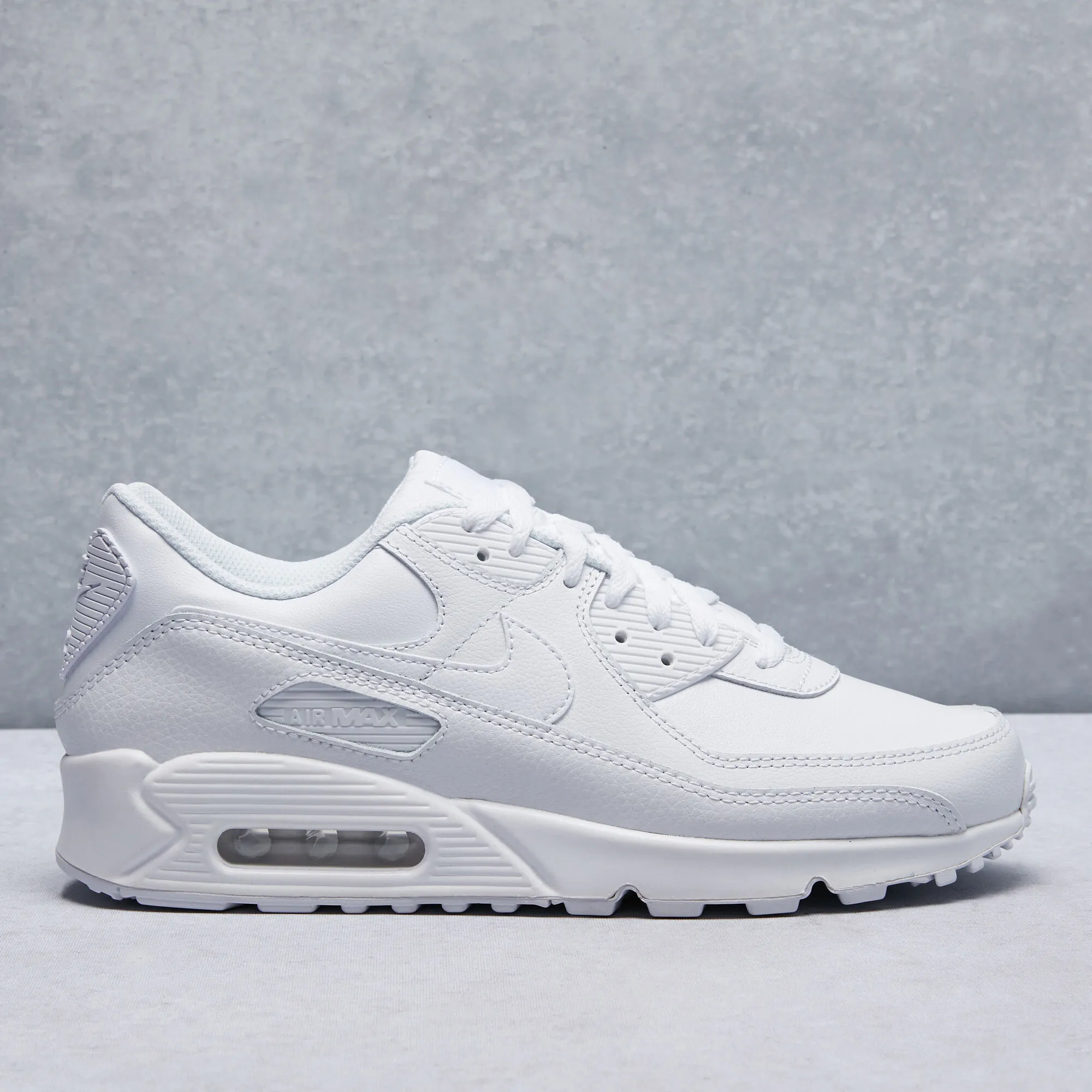 Nike Air Max 90 LTR Shoes